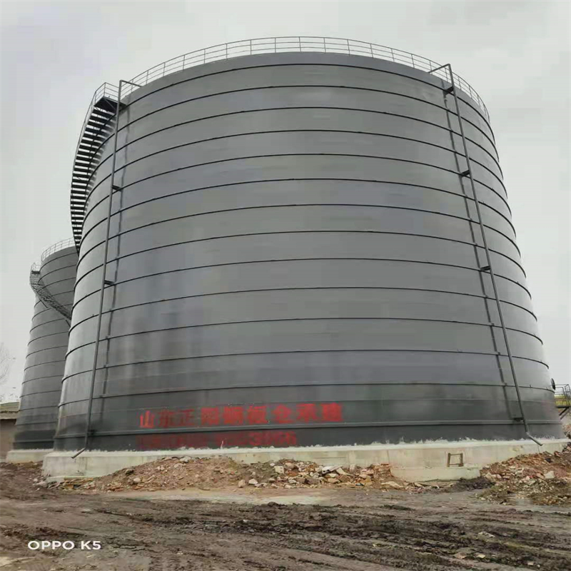 东成镇3万吨大型钢板库