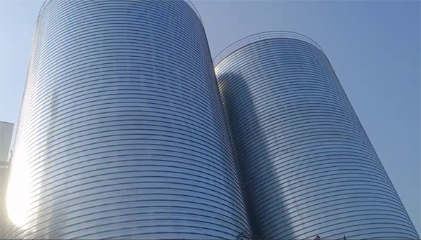 东成镇2座混凝土高架卷板仓